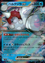ハルクジラex