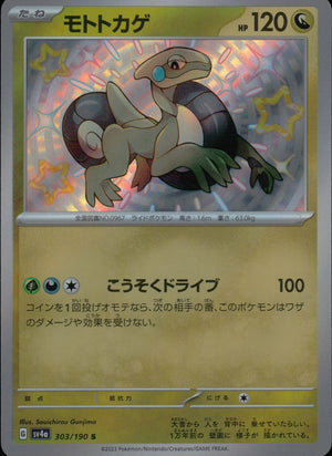 モトトカゲ