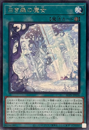 白き森の魔女 レア ALLIANCE INSIGHT ALIN-JP058 状態A