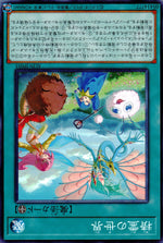 精霊の世界