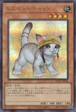 レスキューキャット