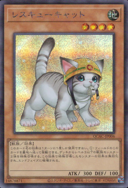レスキューキャット