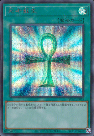 死者蘇生