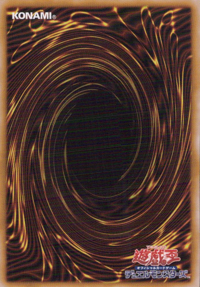 パラレルエクシード 裏面