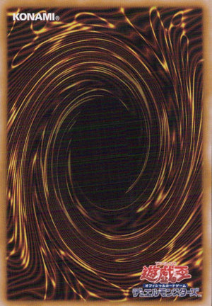 パラレルエクシード 裏面