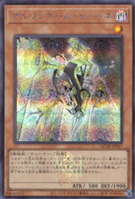 オルフェゴール・カノーネ