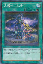 熟練の白魔導師