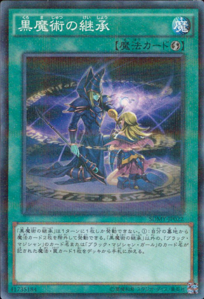 熟練の白魔導師