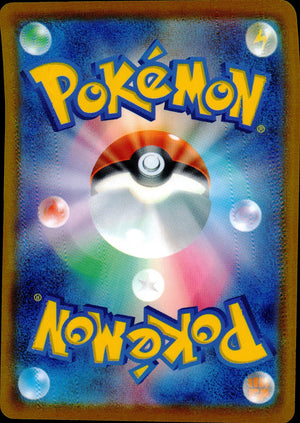 ポケモンキャッチャー 裏面
