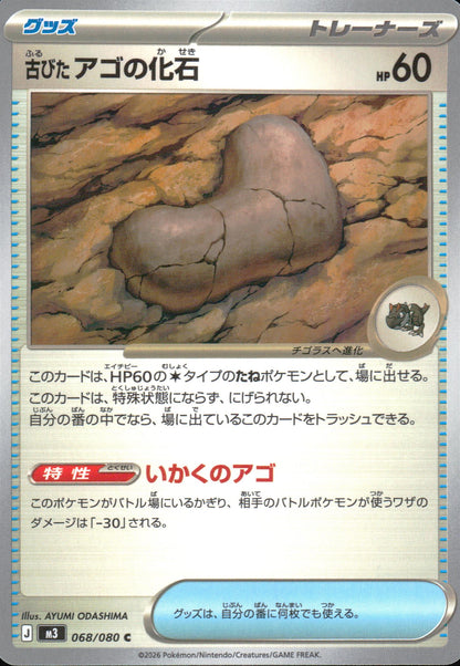 なぞの化石