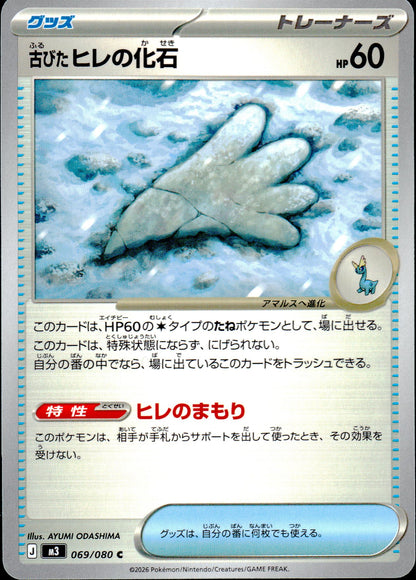 なぞの化石