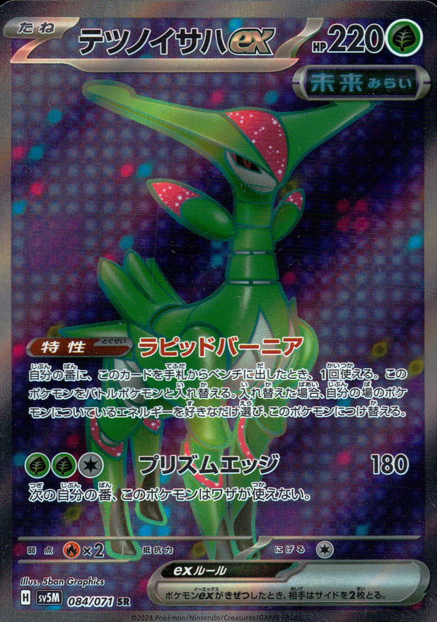 テツノイサハex