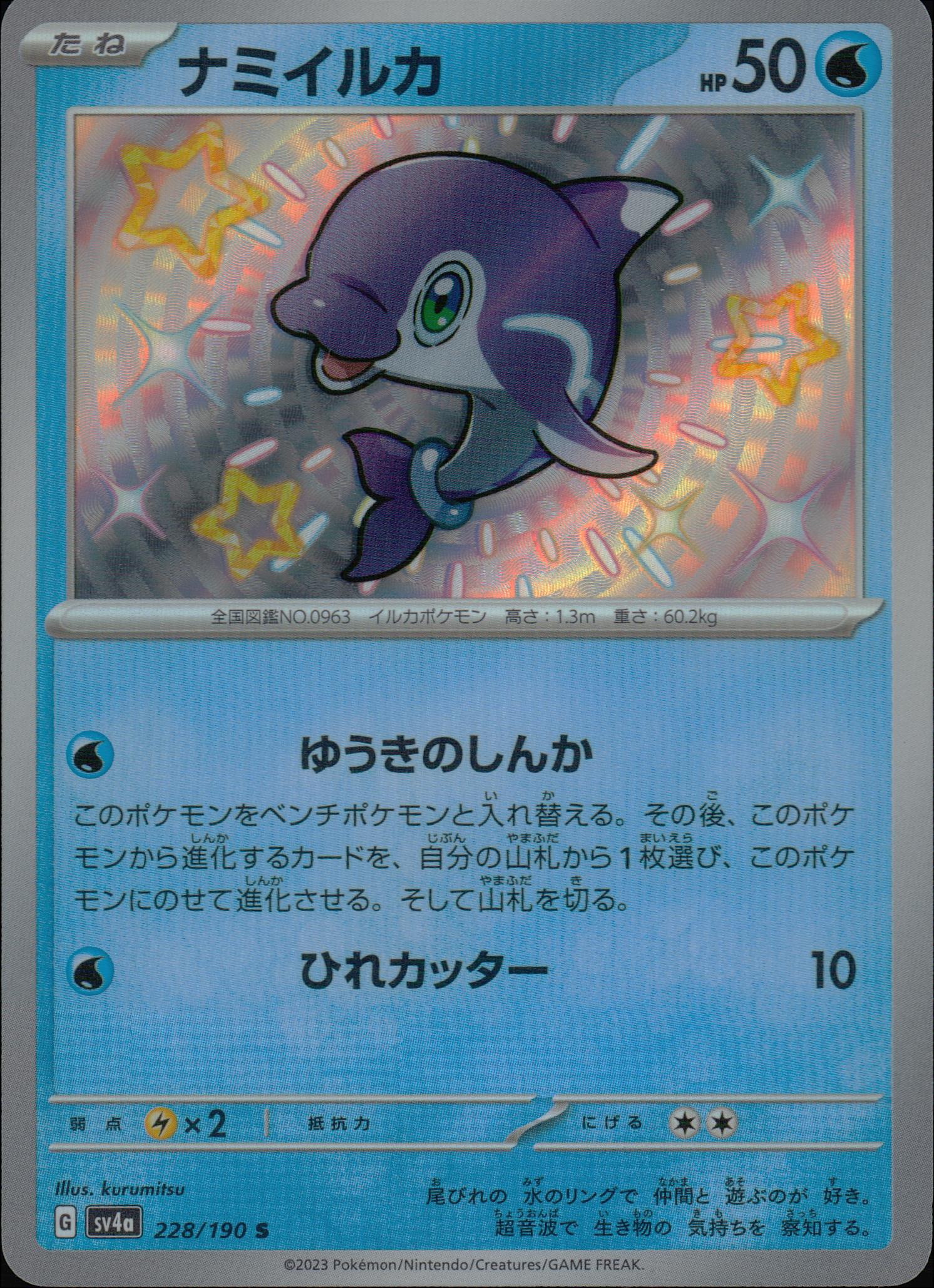 ナミイルカ