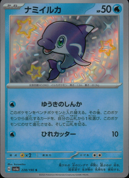 ナミイルカ