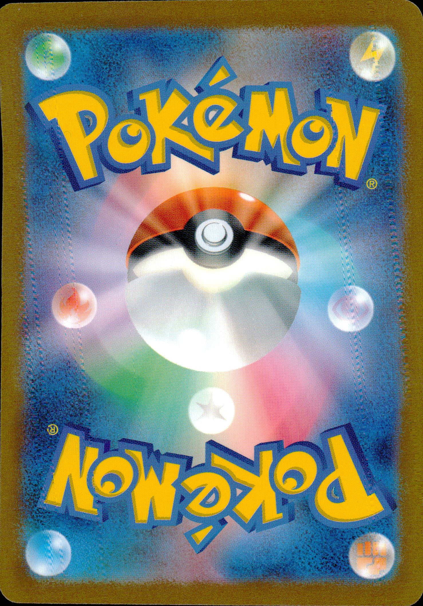 ポケモンキャッチャー 裏面