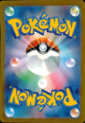ポケモンキャッチャー 裏面